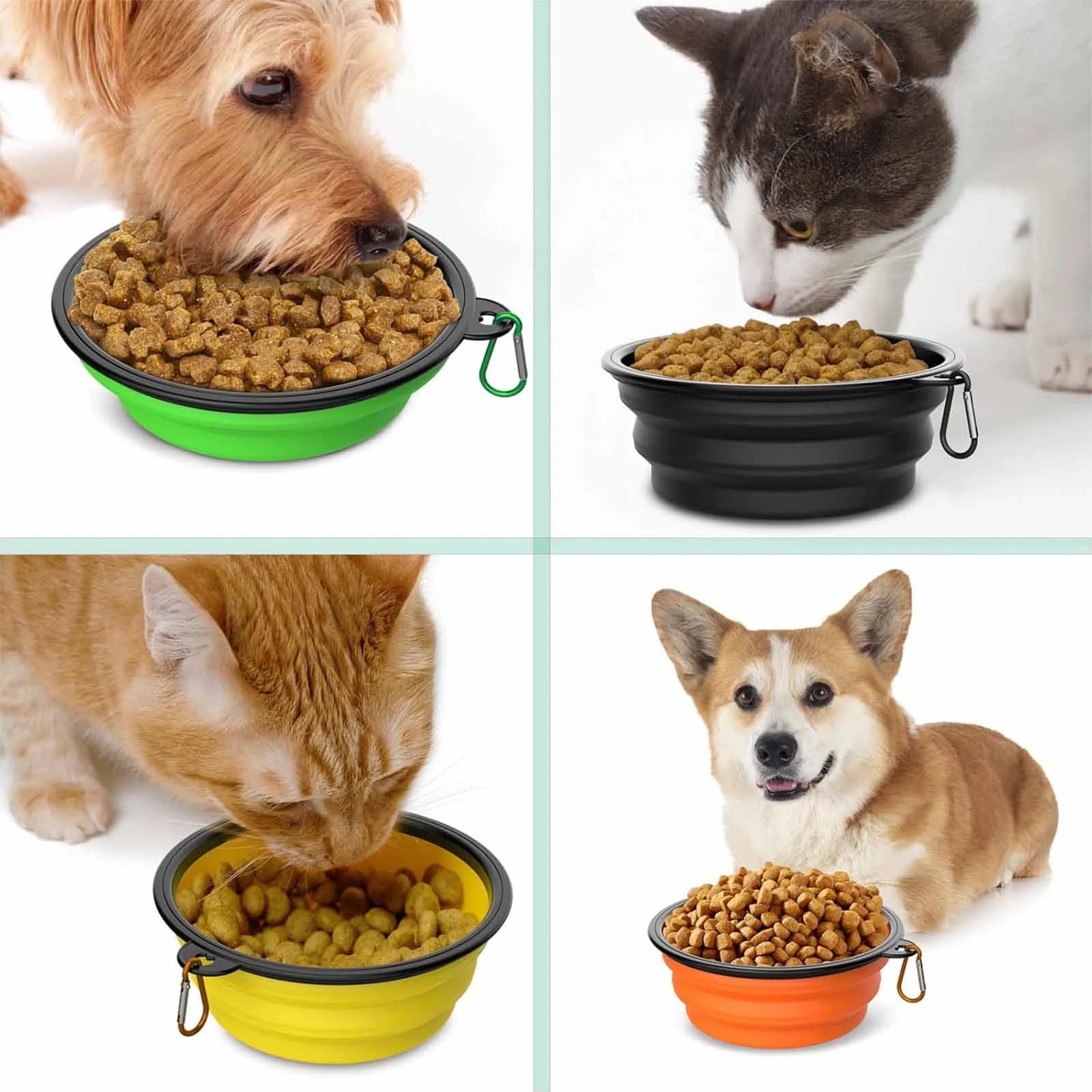 Ultimate 5-Pack Collapsible Travel Pet Bowls with Carabiners - BPA-Free, Lightweight Feeding Solution for Dogs and Cats on the Go!