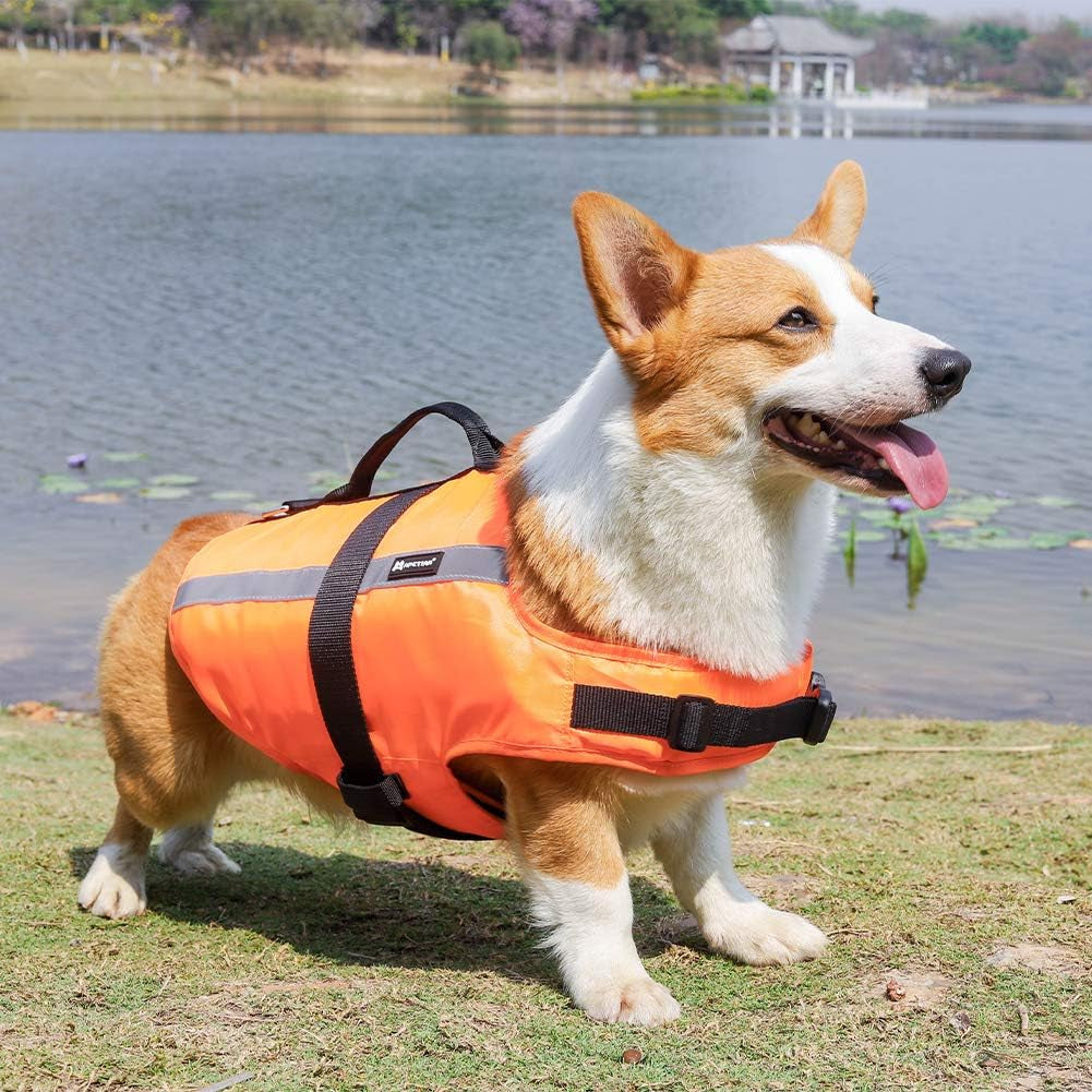 Ultimate Dog Life Jacket - Safe & Stylish Floatation Vest for Swimming - Large Orange 2021